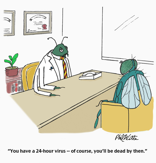Phil Witte’s cartoon